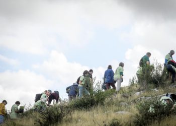 Naredne 3 subote volonteri Boranke pošumljavat će požarište na Šubićevcu u Šibeniku, očekuje se dolazak 300 volontera