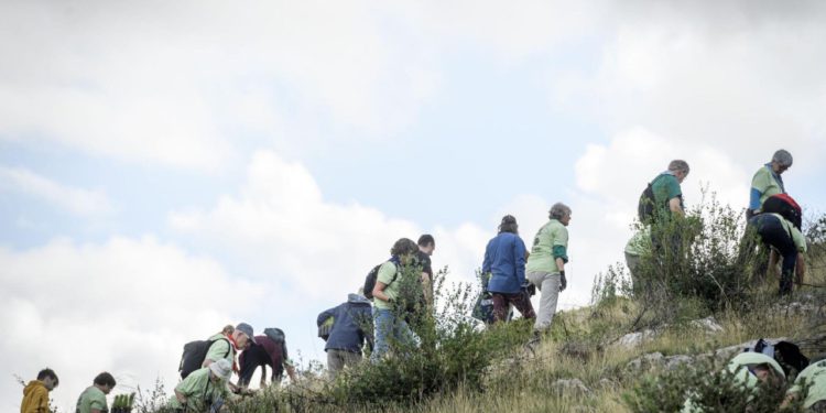 Naredne 3 subote volonteri Boranke pošumljavat će požarište na Šubićevcu u Šibeniku, očekuje se dolazak 300 volontera