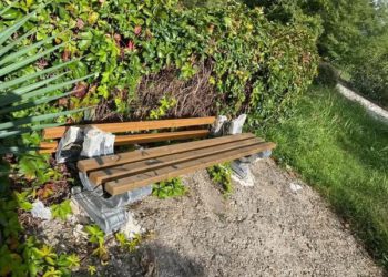 Nastavljena devastacija parkova u Bijelom Polju