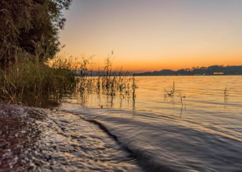 Ne njemu je bilo deset Kineza i Srbin!