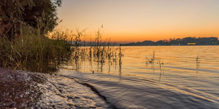 Ne njemu je bilo deset Kineza i Srbin!