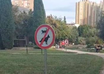 Oko FESB-a angažirani zaštitari zbog mačaka: “Ljudi božji, jeste vi na gljivama?”