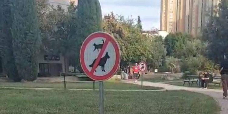 Oko FESB-a angažirani zaštitari zbog mačaka: “Ljudi božji, jeste vi na gljivama?”