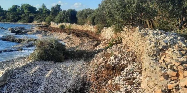 Omiljenu pelješku plažu “pregazio” bager, investitor iz BiH napravio crnu jamu, počupao stoljetne masline…