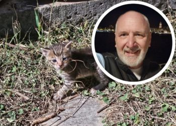 Opara pronašao napuštenog mačića, traži se udomitelj