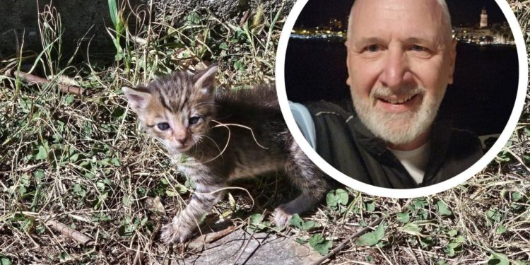 Opara pronašao napuštenog mačića, traži se udomitelj