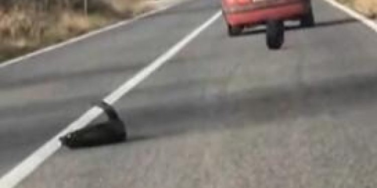 Opet Dubrava, opet Renault Clio: usred vožnje ostao bez gume pa se preko pune crte isključio iz prometa