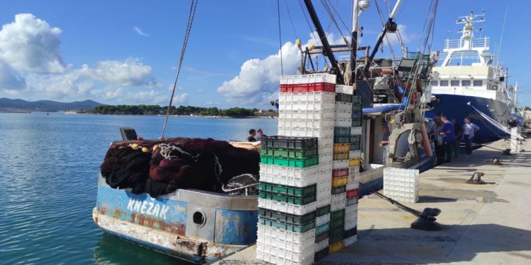 Osiguranje ribarskih plovila, suradnja ribara i znanstvenika, te inovacije u ribolovu i akvakulturi!