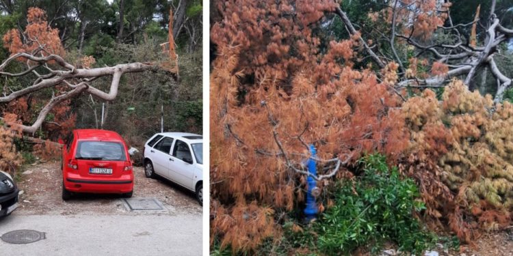 Ovo je dio Marjana mjesecima nakon oluje