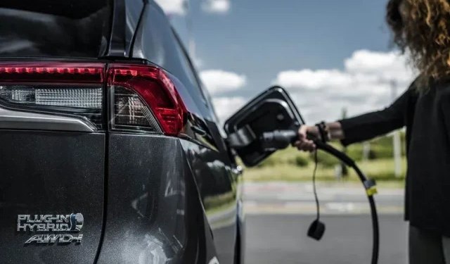 Pad prodaje električnih vozila u Federaciji BiH, rast interesa za hibride