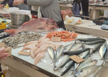 Peškarija puna života i dobrog ulova, evo što je danas u ponudi