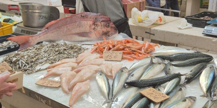 Peškarija puna života i dobrog ulova, evo što je danas u ponudi