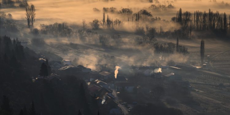 Po Vrgorcu vreba novi predator, među ljude se uvukao strah: ‘Okupljaju se oko smeća’
