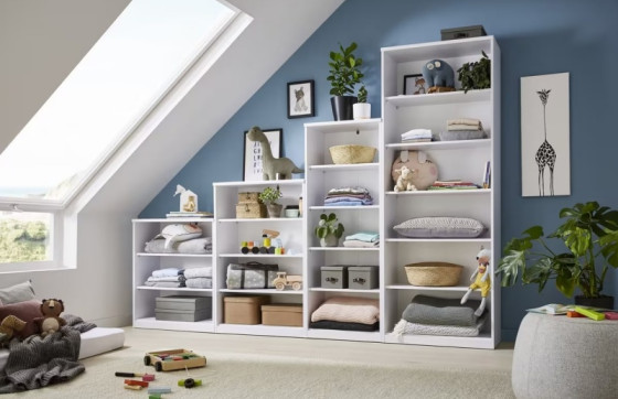 Police za knjige i zidne police: organizacija i dekoracija u jednom