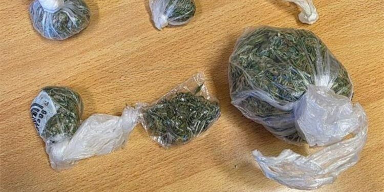 Policija kod 19-godišnjaka pronašla marihuanu, speed i LSD. Evo što se dogodilo