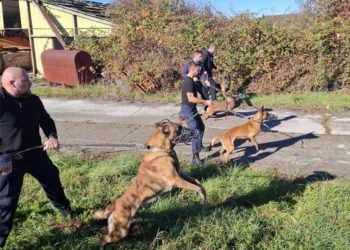 Policija u Cetingradu završila prvu u nizu obuka posebnih pasa: Nevjerojatno je što sve mogu