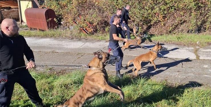 Policija u Cetingradu završila prvu u nizu obuka posebnih pasa: Nevjerojatno je što sve mogu