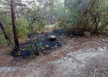 Poseban kuriozitet je da je planulo na lokaciji na kojoj je zapilano 63 stabla. Slučajno?