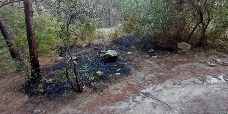 Poseban kuriozitet je da je planulo na lokaciji na kojoj je zapilano 63 stabla. Slučajno?