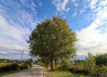 Povijesni virski bunari dobivaju novo ruho i postaju atraktivno izletište za turiste i mještane