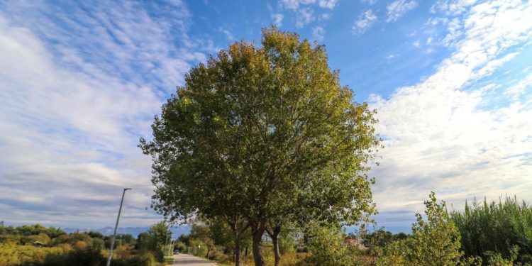 Povijesni virski bunari dobivaju novo ruho i postaju atraktivno izletište za turiste i mještane