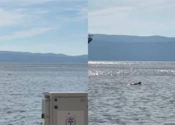 Prolaznici uživali u pogledu, a mnogi su posegnuli i za mobitelom: Pogledajte tko je danas posjetio splitsku luku