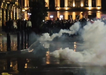 Prosvjednici Storm predsjednička palača u Gruziji (videozapisi) – RT Rusija i bivši Sovjetski Savez