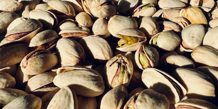 Prve pistacije u Dalmaciji: Prvi ozbiljniji prinos očekuje se za tri do pet godina