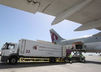 Qatar Airways optužen za ubojstvo vegetarijanskog putnika s obrokom na bazi mesa