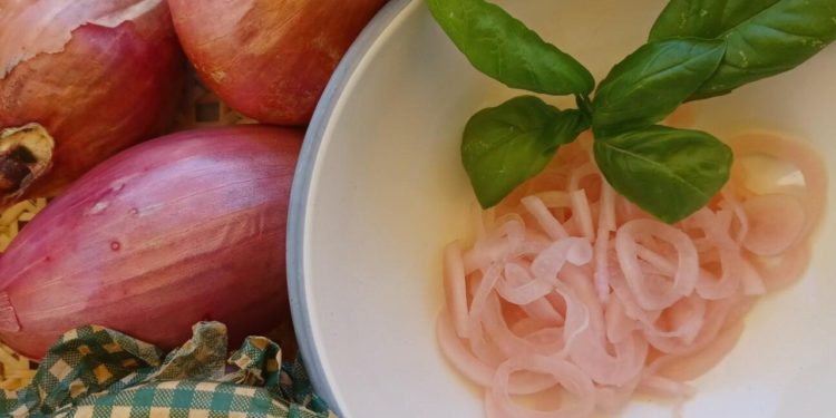 Recept za savršen dodatak svim jelima! S ukiseljenim lukom, sendviči dostižu sasvim novu razinu