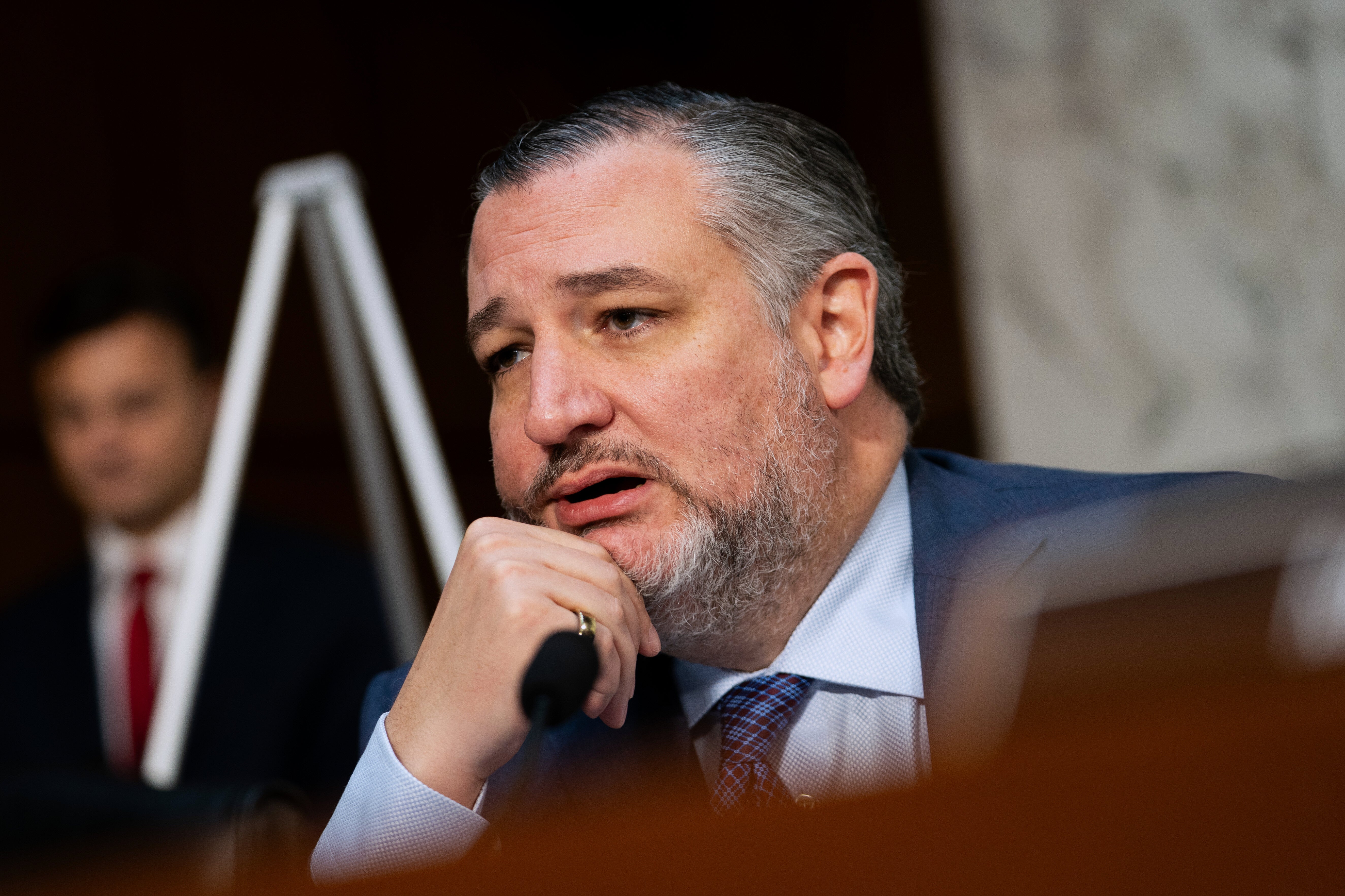 Cruz, republikanski član Odbora za vanjske odnose Senata, želi da se Nigerija proglasi zemljom od posebne zabrinutosti kao zemlja s