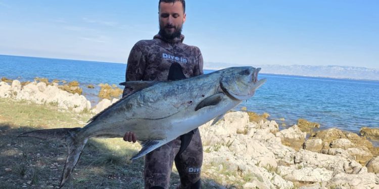 Samoborac kao uspješan ribolovac – Na pet metara dubine ulovio licu od 23 kg: “Borba je trajala pola sata!”