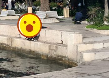 Sila boga ne moli: Žena se olakšala u more nasred splitske rive