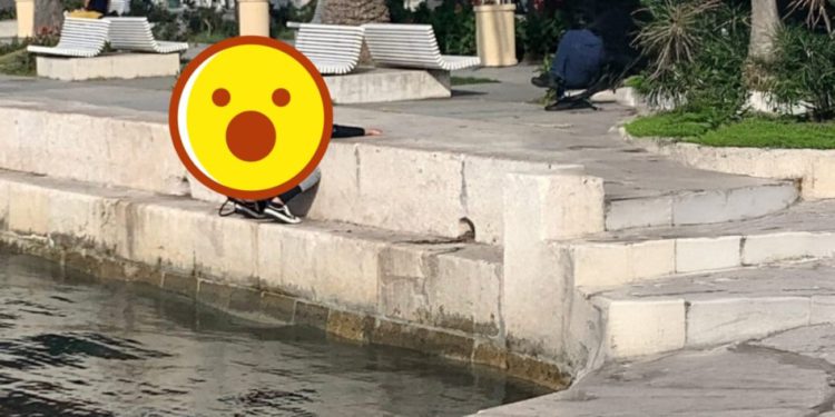 Sila boga ne moli: Žena se olakšala u more nasred splitske rive