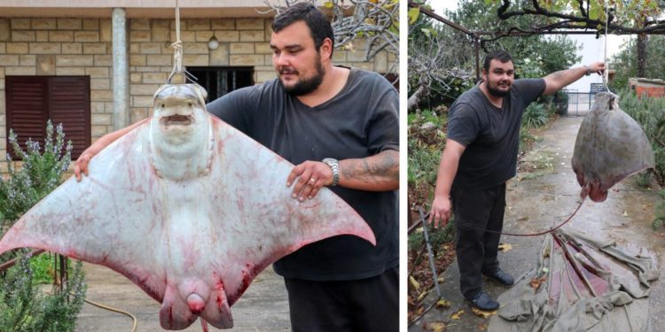 Šime ulovio grdosiju od 40 kila: “Mislio sam da ću potonuti, nikad ovo nisam vidio”