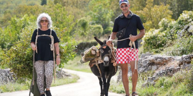 Slobodna Dalmacija – Bivša žena osnivača ‘Srebrnih krila’ iz Australije stigla u Krstatice pilati drva i prtiti ih na tovara; krenule suze