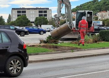 Slobodna Dalmacija – Do jučer žive biljke sad su na putu za deponij, sve zbog kružnog toka: ‘Umjesto da ih se prebaci na drugu lokaciju…’