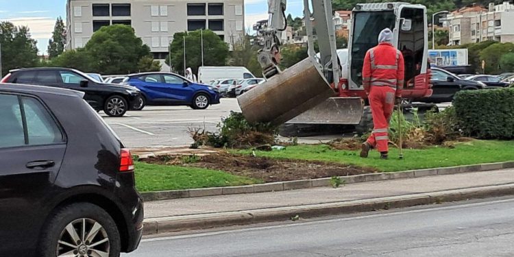 Slobodna Dalmacija – Do jučer žive biljke sad su na putu za deponij, sve zbog kružnog toka: ‘Umjesto da ih se prebaci na drugu lokaciju…’