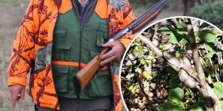 Slobodna Dalmacija – Drama u Zagvozdu, lovci naišli na predatore od kojih se ledi krv, prekinuli lov! Bilo ih je devet, jedan je visio…