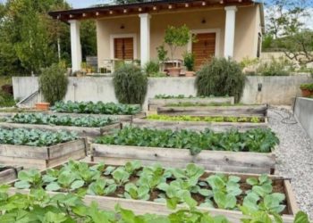 Slobodna Dalmacija – FOTO Je li ovo najljepši vrt u Zagori? Zelena oaza braće Šerić apsolutni hit na društvenim mrežama: ‘Kako frezu utrat?’