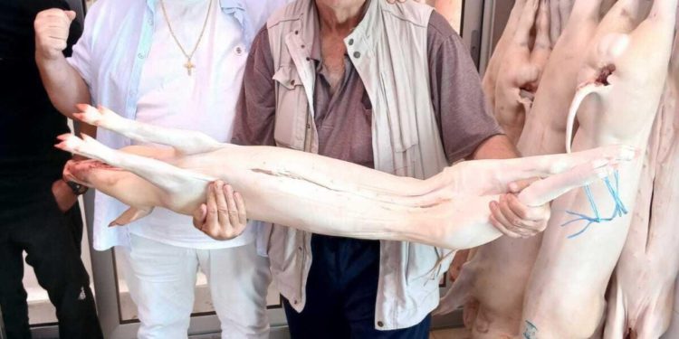 Slobodna Dalmacija – Kerum poznatom Triljaninu poklonio cijelo prase! Sreli se stari prijatelji: ‘Košulja, lanci, katanci i japanke’