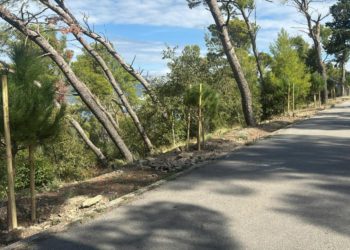 Slobodna Dalmacija – Nakon tragedije koja je pogodila splitski biser, konačno stižu dobre vijesti: ‘Ovo je prvi korak prema oporavku…’