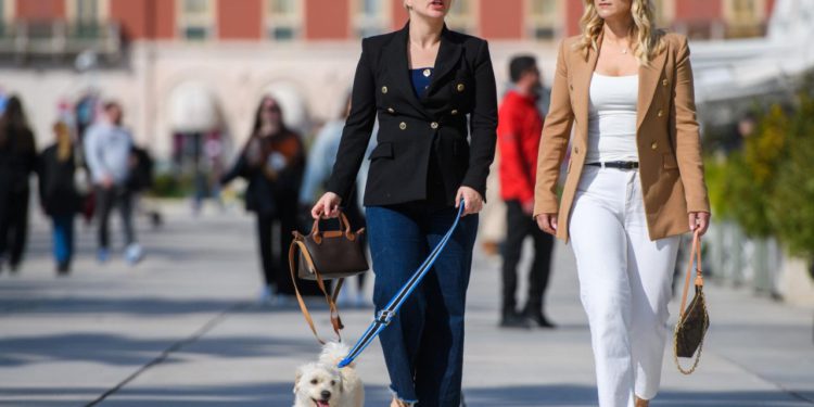 Slobodna Dalmacija – Ovo su dokazano najbolji proizvodi za kućne ljubimce: razvijeni su u suradnji s nutricionistima, ima ih u svakom kvartu