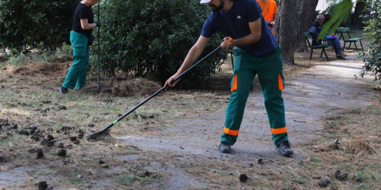 Slobodna Dalmacija – Pokrenut javni natječaj za direktora splitske gradske tvrtke. Prijavljuje se i trenutačni direktor? Evo što nam je rekao