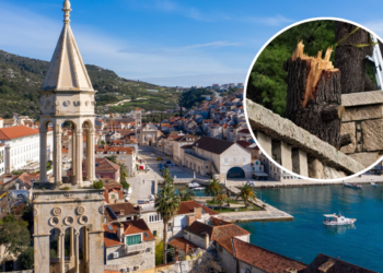 Slobodna Dalmacija – Poznata Hvaranka o rušenju stabala: ‘Hrvati možda ni Srbe ne mrze toliko koliko su u stanju mrziti stabla’