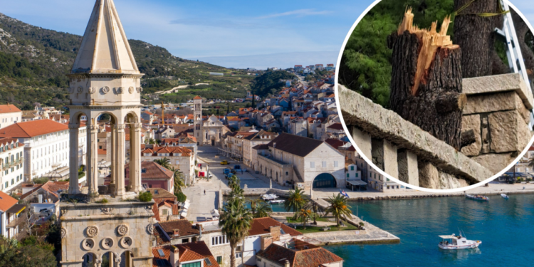 Slobodna Dalmacija – Poznata Hvaranka o rušenju stabala: ‘Hrvati možda ni Srbe ne mrze toliko koliko su u stanju mrziti stabla’