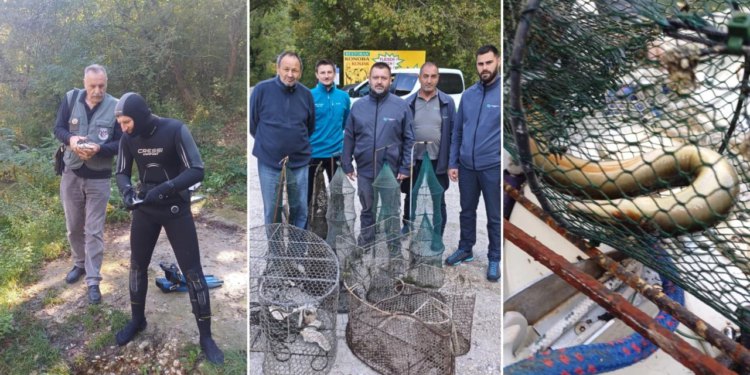 Slobodna Dalmacija – Svaka čast! U Zagori proveli filmsku akciju; zaronili, pronašli ‘ilegalce’ i spasili životinje. Krivolovci se ne smiruju