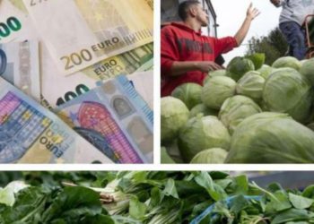 Slobodna Dalmacija – Sve na klik! Stigla nova generacija mladih poljoprivrednika