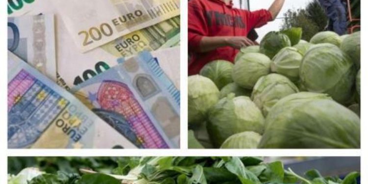 Slobodna Dalmacija – Sve na klik! Stigla nova generacija mladih poljoprivrednika