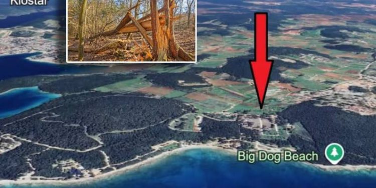 Dvojac iz Tinjana i Žbandaja dobio po šest mjeseci uvjetnog zatvora zbog nezakonitog rušenja stabala